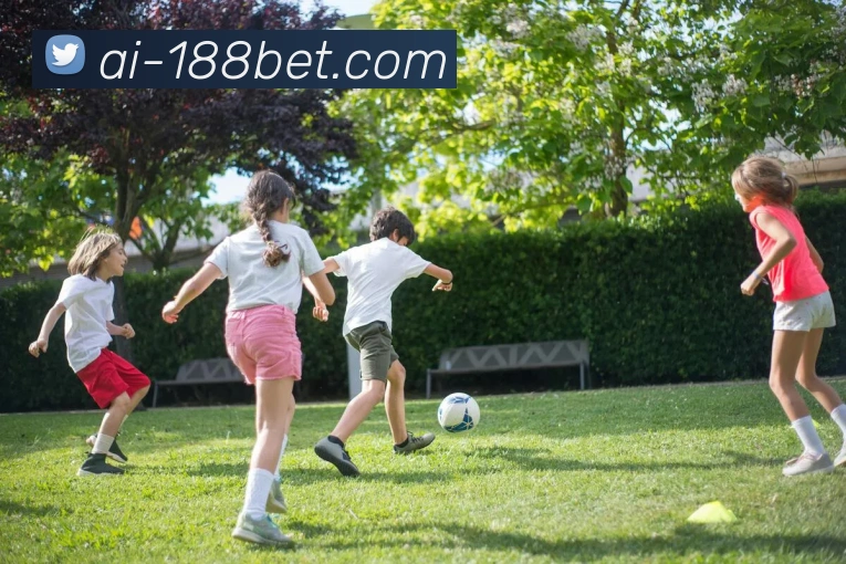 多媒体互动体验